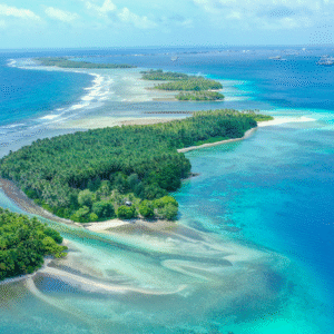Marshall Islands Company Formation Premium Package
