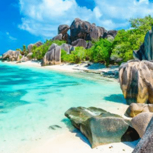 Seychelles Company Formation Premium Package