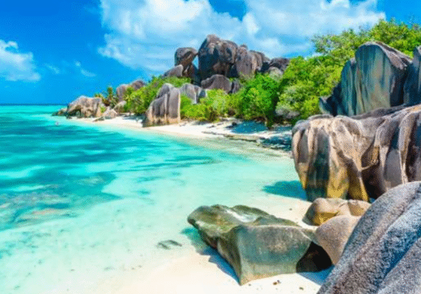Seychelles Company Formation Premium Package