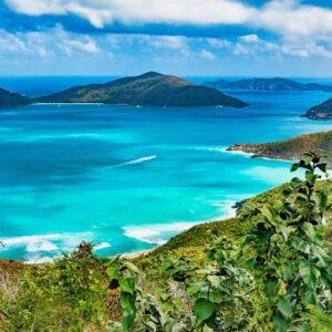 BVI Company Formation Premium Package
